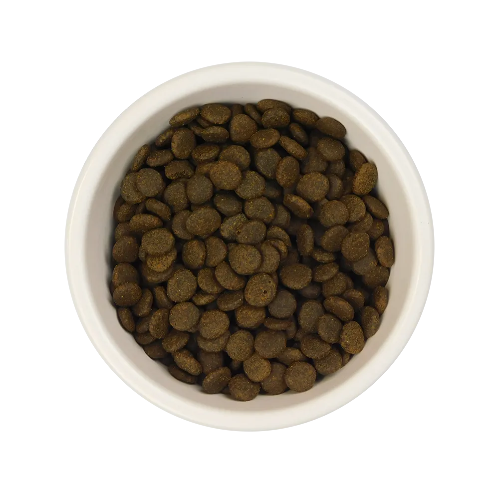 Salmon Mixed Dry & Wet Cat Food Bundle